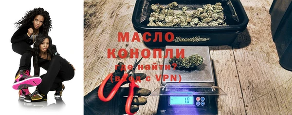эйфоретик Шенкурск