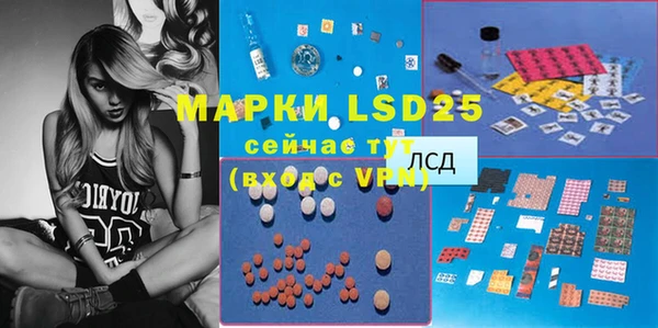 PSILOCYBIN Шимановск