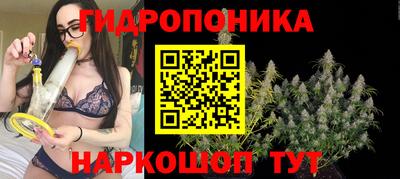 СК Краснокаменск