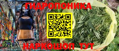 spice Краснознаменск