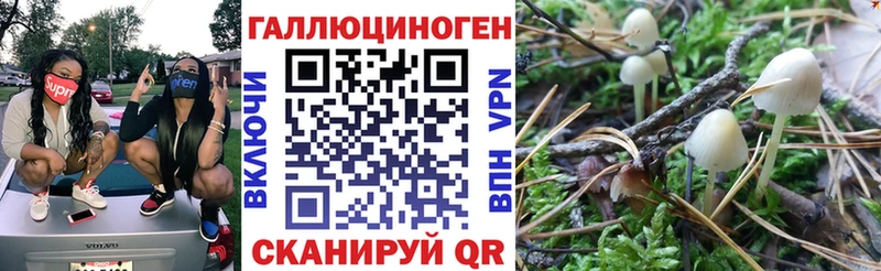 Галлюциногенные грибы мицелий  купить наркотик  Кувандык 