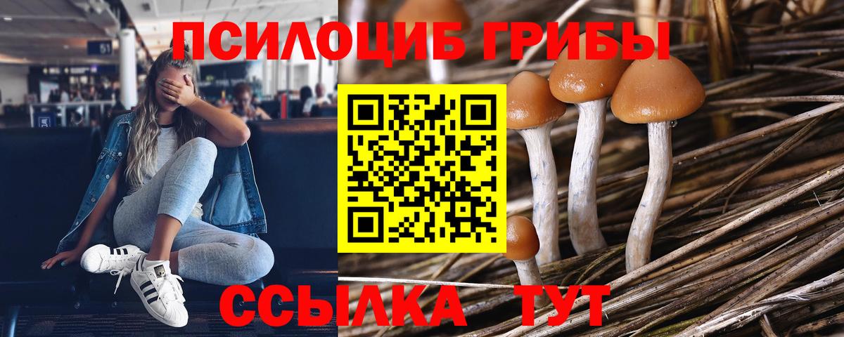 хочу наркоту  Галлюциногенные грибы MAGIC MUSHROOMS  Вход с VPN  Кувандык 
